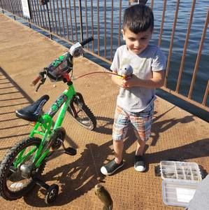 Meet your Posher, Zack